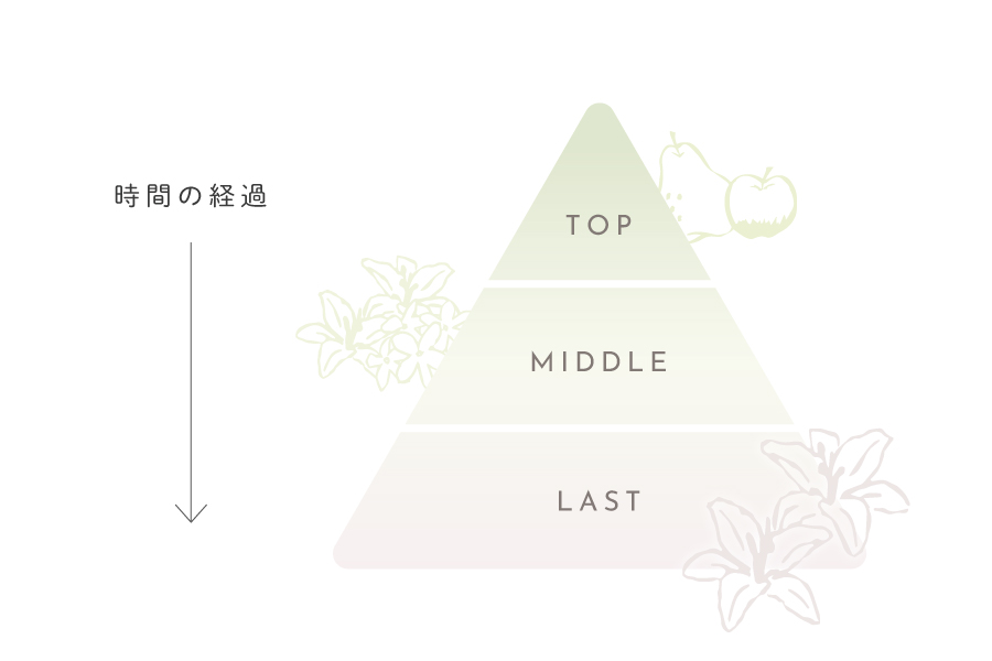 3段階に分けられる香りのノート