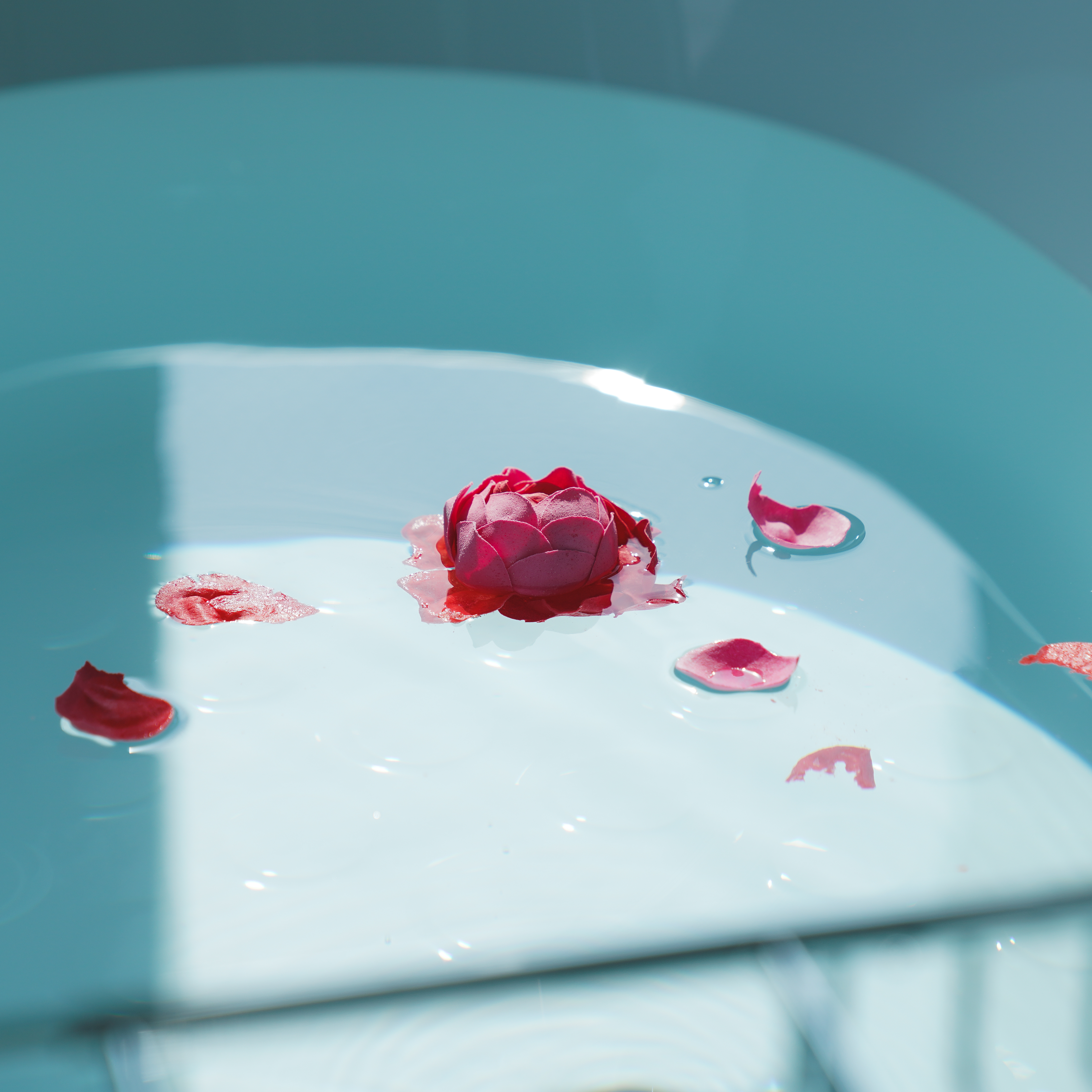 フラワーバスペタル