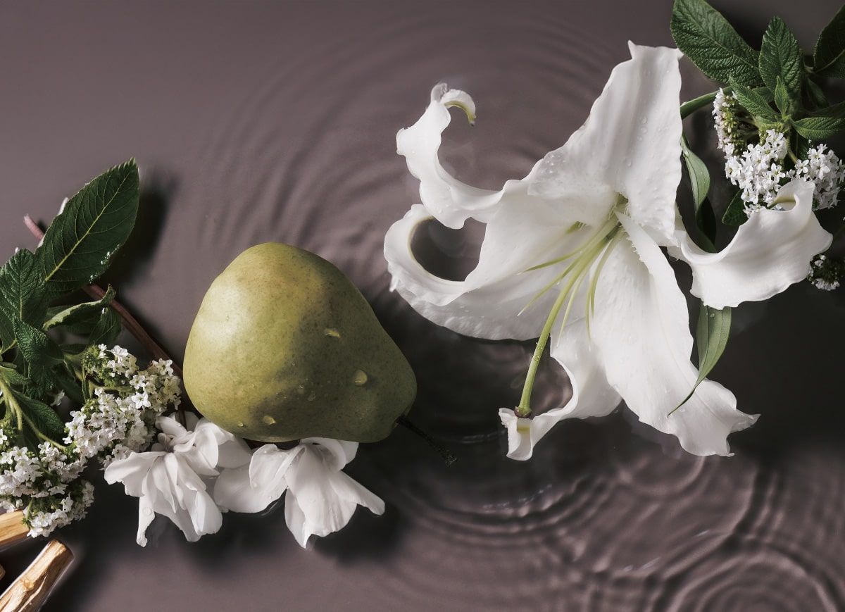 モイストシャンプー＆コンディショナー コンセプト